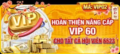 🏆 星空体育下载app：您的最佳体育赛事伙伴