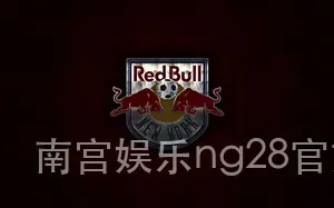 南宫娱乐ng28官方版下载