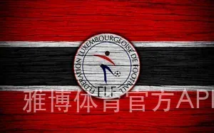 雅博体育官方APP