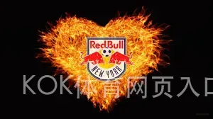 KOK体育网页入口