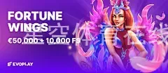 星空体育在线下载