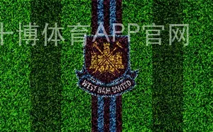 十博体育APP官网