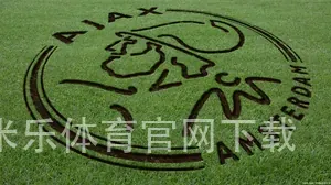 米乐体育官网下载