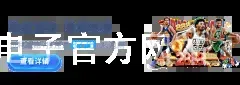 PG电子官方网站