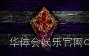 华体会娱乐官网app