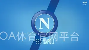 AOA体育官网平台