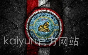 kaiyun官方网站