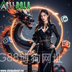 BODOG88博狗网址