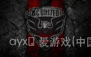 ayx・爱游戏(中国)官方网站