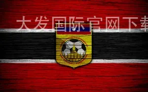 大发国际官网下载