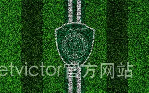 伟德国际 betvictor官方网站