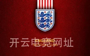 开云电竞网址