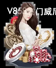 V858澳门威尼斯人