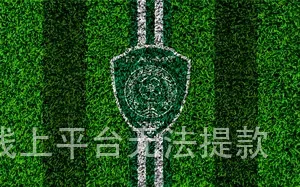 澳门美高梅线上平台无法提款