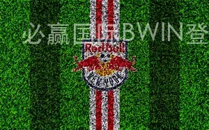必赢国际BWIN登录地址