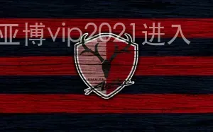 亚博vip2021进入