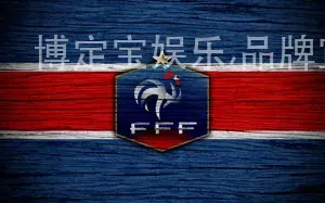 博定宝娱乐,品牌宣传推广