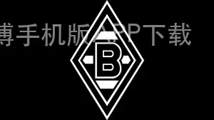 万博手机版APP下载