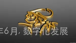 博鱼体育官方网站, 品牌宣传推广, 2025年6月, 数字化发展