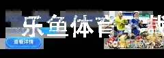 乐鱼体育下载app官网