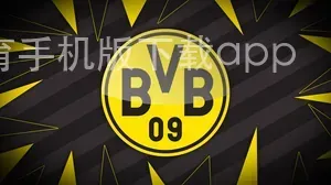 B体育手机版下载app