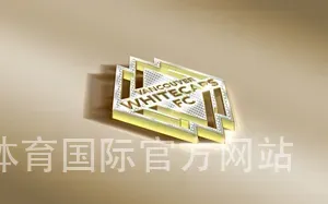 环球体育国际官方网站
