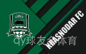 qy球友会体育