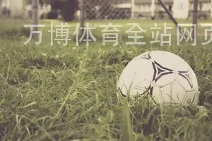 万博体育全站网页入口官网