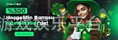 官方电子游戏娱乐平台