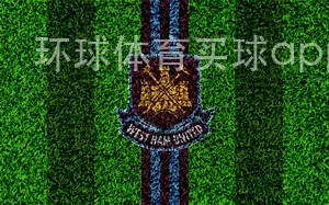 全球化用户分层 环球体育买球app官网