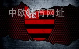 中欧体育网址