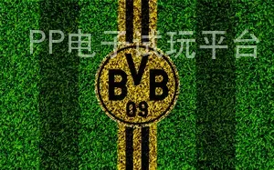 PP电子试玩平台