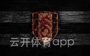 云开体育app