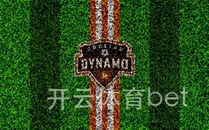 开云体育bet