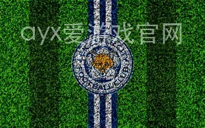ayx爱游戏官网