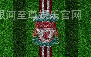银河至尊娱乐官网