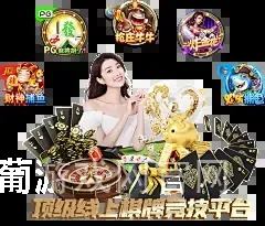 澳门新葡游戏网官网