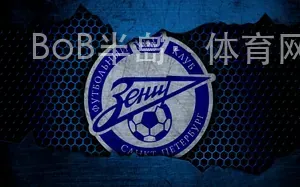 BoB半岛·体育网站