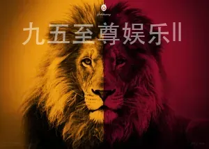 九五至尊娱乐II