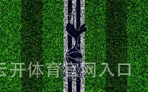 云开体育官网入口
