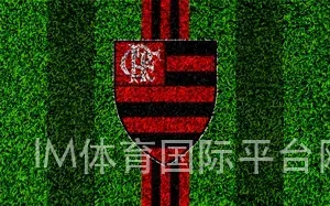 IM体育国际平台网址