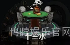 鸭脖娱乐官网入口