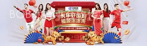BOB体育平台软件
