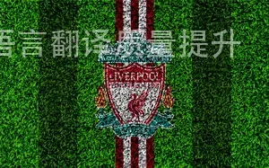 多因素安全验证, 多因素登录验证, 多因素风险控制, 多因素身份认证安全措施, 多语言翻译质量提升