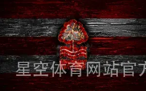 星空体育网站官方入口手机版