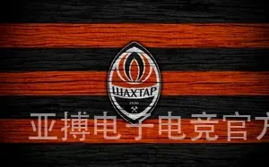 亚搏电子电竞官方入口