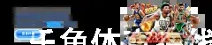 乐鱼体育在线官网登录