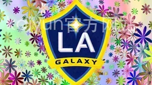 kaiyun官方网站