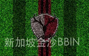 新加坡金沙BBIN