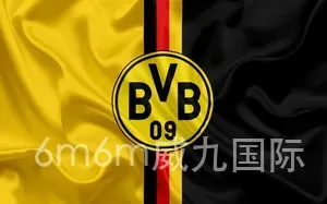 6m6m威九国际
